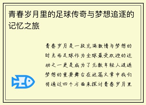 青春岁月里的足球传奇与梦想追逐的记忆之旅